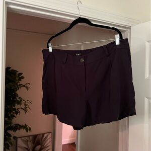 Blue shorts - casual and new with tags